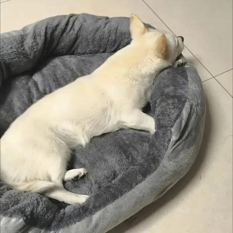 S65bc767064fc4127894bafd46e8428d15