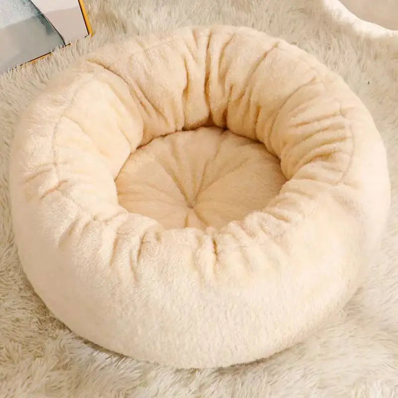 See3519463a6247258d5226d12bf645e5l